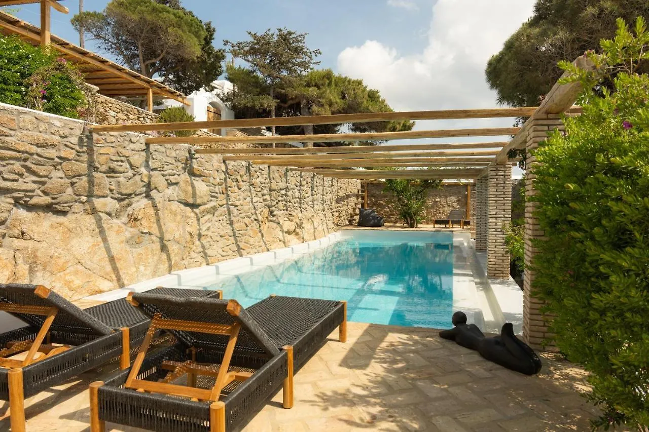 Villa Baroness In Mykonos Town